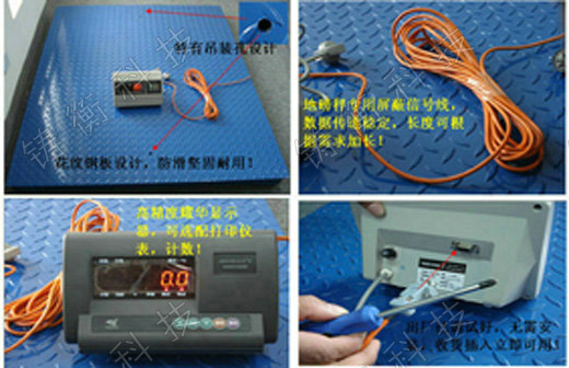 標(biāo)準(zhǔn)地秤